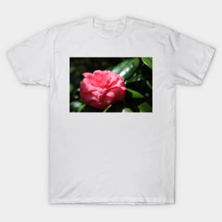 Pink Japanese Camellia T-Shirt